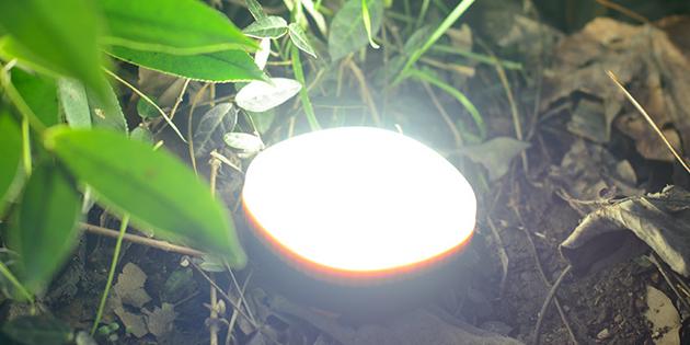 goods for the picnic: portable LED light