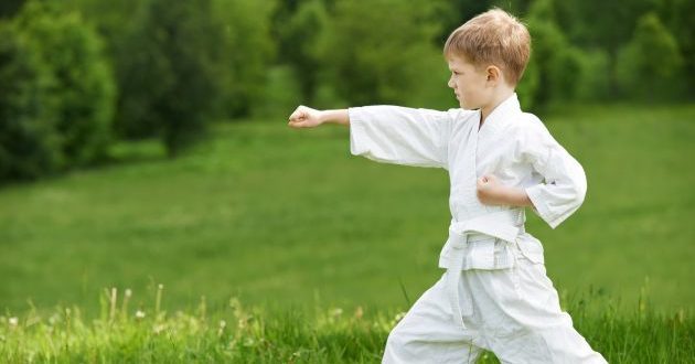 sports clubs: Karate