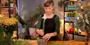 What is Ikebana and how to learn