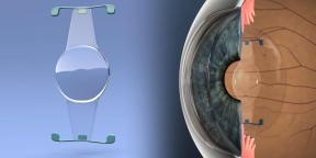 How to restore vision in one day: dismantle current treatments