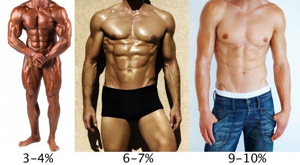 body fat percentage for men