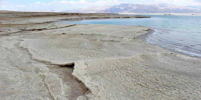 The Dead Sea