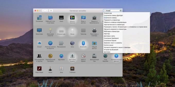 System macOS settings: How to use the search field