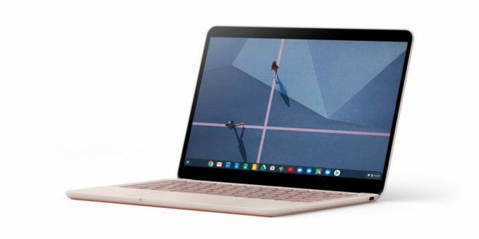 Google Pixelbook Go laptop