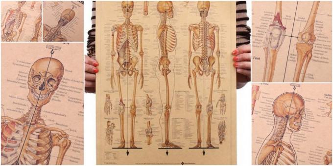 Poster "Skeleton Man"