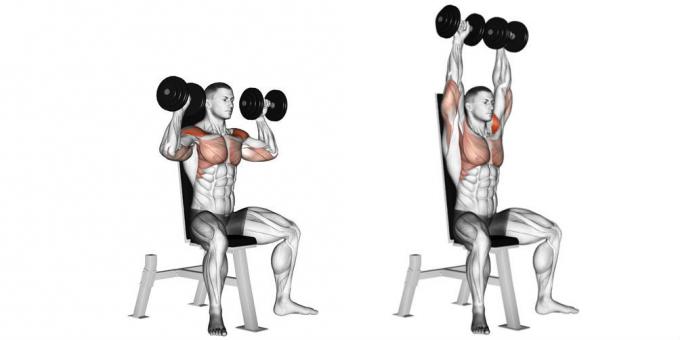 Program Home Workouts: Dumbbell bench press up