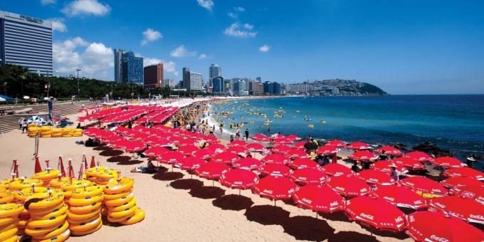Attractions South Korea: sandy beaches
