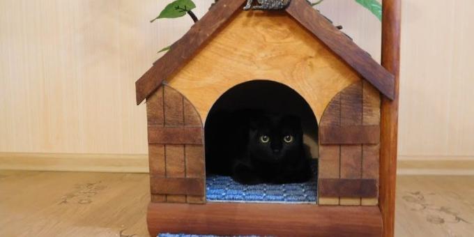 How to make a house for a cat from a tree with his hands