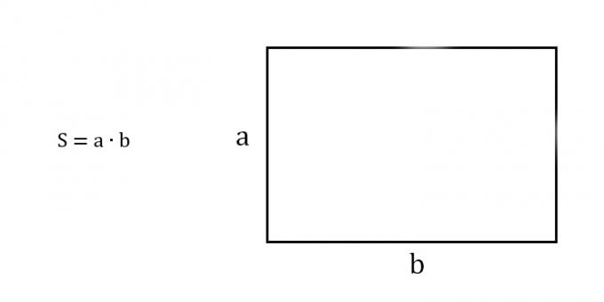 How to find the area of ​​a rectangle knowing two adjacent sides