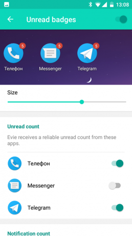 Evie Launcher: Icon setting