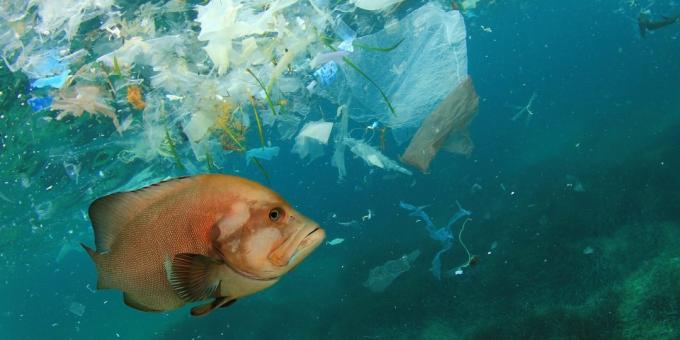 Global problems: ocean pollution