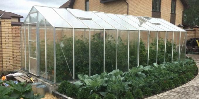 Winter garden with his own hands made of polycarbonate with a framework of galvanized profile