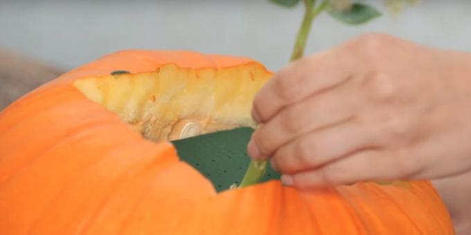 Crafts of the pumpkin, place the sponge inside