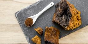 Useful properties of chaga: what scientists think