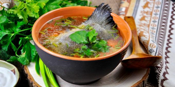 Fish soup with trout or salmon tail