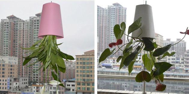 Suspended inverted pots with Aliexpress