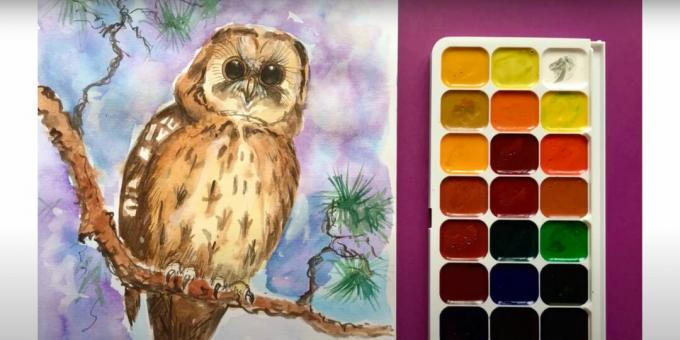 Drawing realistic owl paints