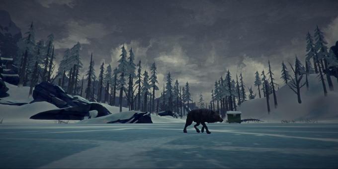 Game about survival: The Long Dark