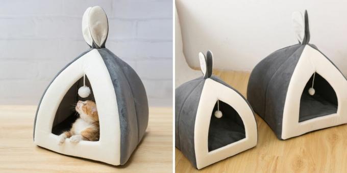 House for pets
