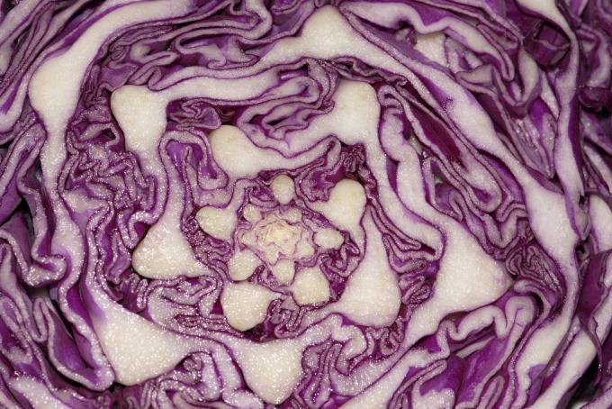 healthy foods: red cabbage