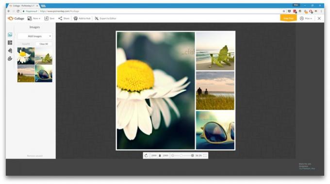 How to make a collage online: PicMonkey