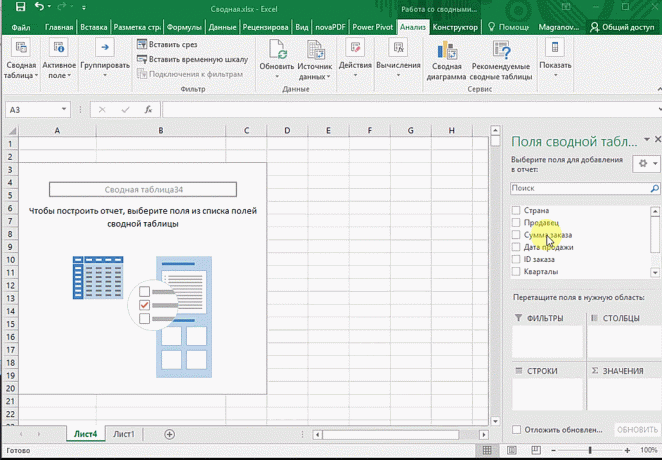 PivotTables in Excel