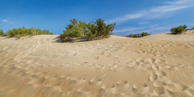 Attractions Anapa: sand dunes in Dzhemet