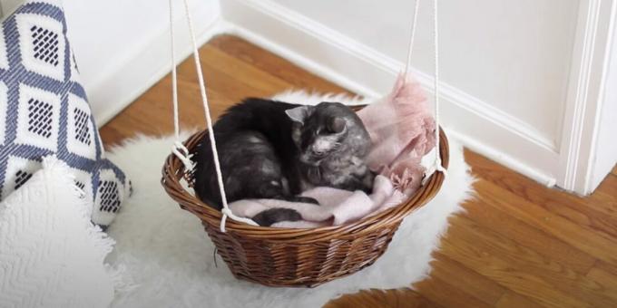 How to make a hammock bed for a cat from a basket