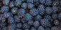3 reasons to try black raspberries at least once - Lifehacker