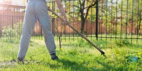 How to mow grass in a suburban area