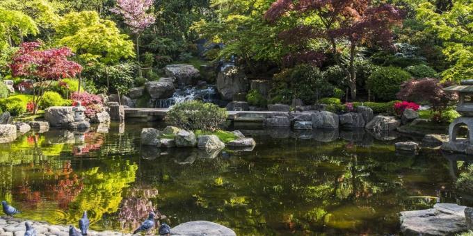 What to see in London: Japanese Kyoto Garden in Holland Park