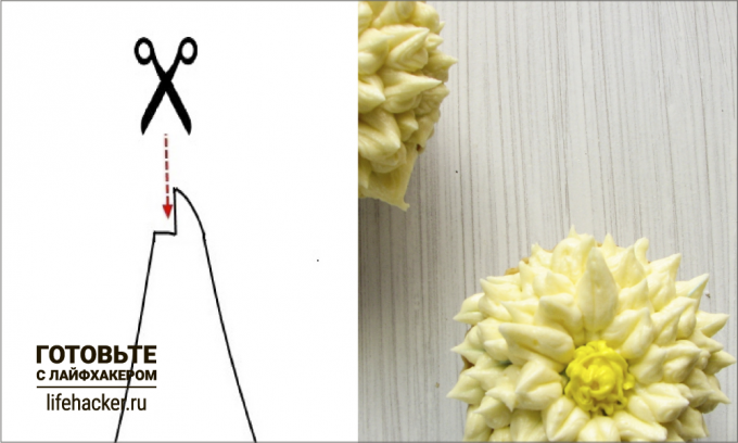 cream decoration. Chrysanthemums.