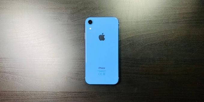 Overview iPhone XR: rear panel