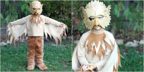 10 New Year costumes for the child, which can be done by hand