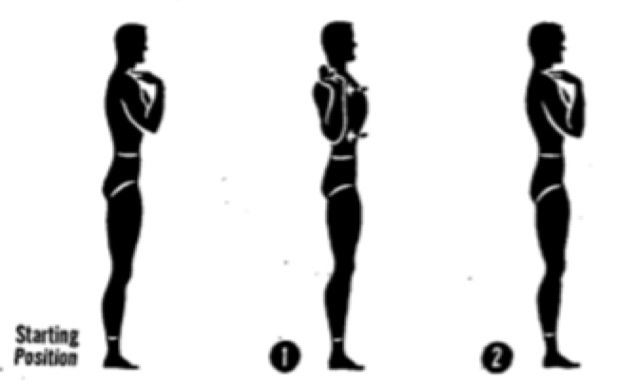 for posture exercises. The circular movement of the shoulders