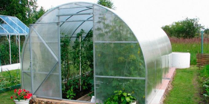 Winter garden with his own hands made of polycarbonate with metal frame