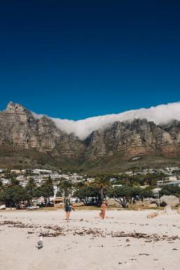 Walking with penguins and wine tasting: what to see and where to go in Cape Town