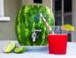 How to make a barrel of watermelon with dispenser and enjoy fresh juice