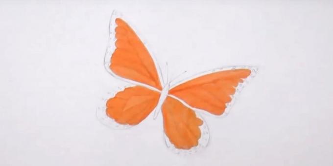 Draw circles on the edges of the lower wings and an orange marker to highlight details