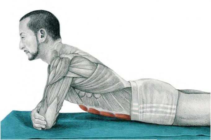 Stretching Anatomy in Pictures