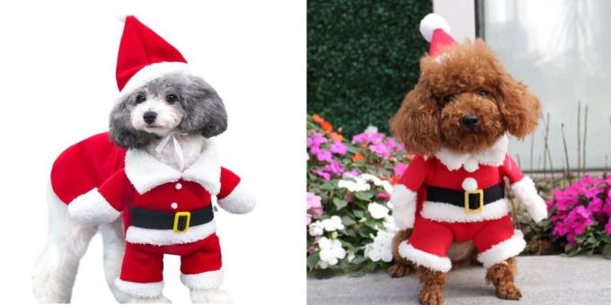 Christmas costumes for dogs woofing Santa