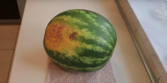 Find a watermelon with yellow spots