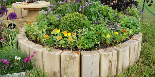 How to make a flower bed of a tree with his hands