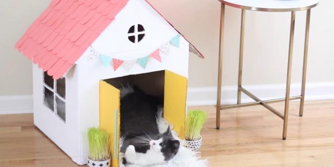 How to make a one-story house for a cat with his own hands: hang flags and door handles