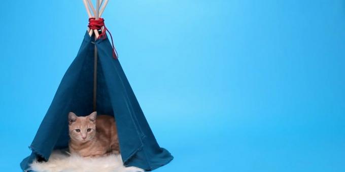 How to make a house-tent for a cat of the rails and the fabric with your hands
