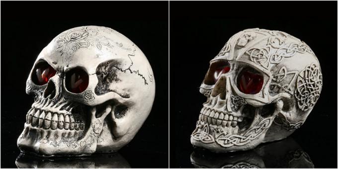 beautiful skull