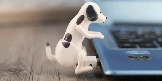 Lustful flash drive dog