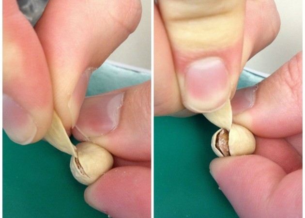 how to open a pistachio