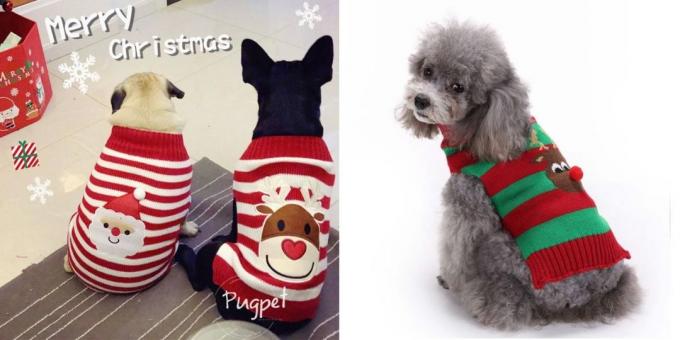 Christmas costumes for dogs: sweater