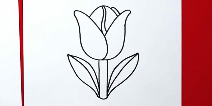 Draw the tulip